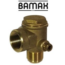 NON-RETURN VALVE 3/4" - F/M BX16VRV120